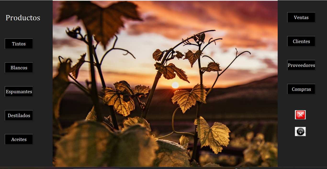 Sistema de Ventas Vinoteca